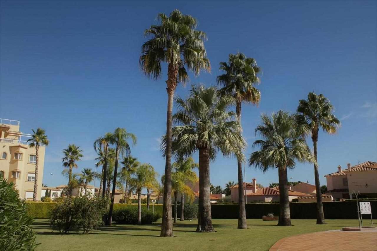 Apartamento De Lujo En La Playa Oliva Exterior foto